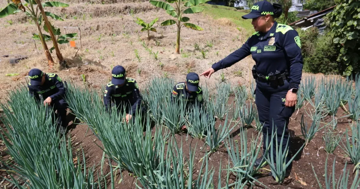 La iniciativa busca mejorar la convivencia y el acceso a alimentos en Manizales.