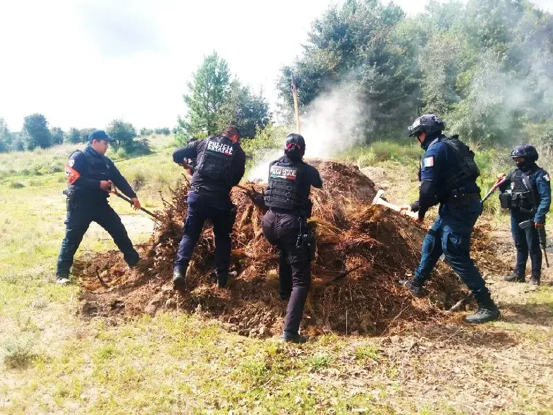 La destrucción de hornos clandestinos protege los recursos forestales.