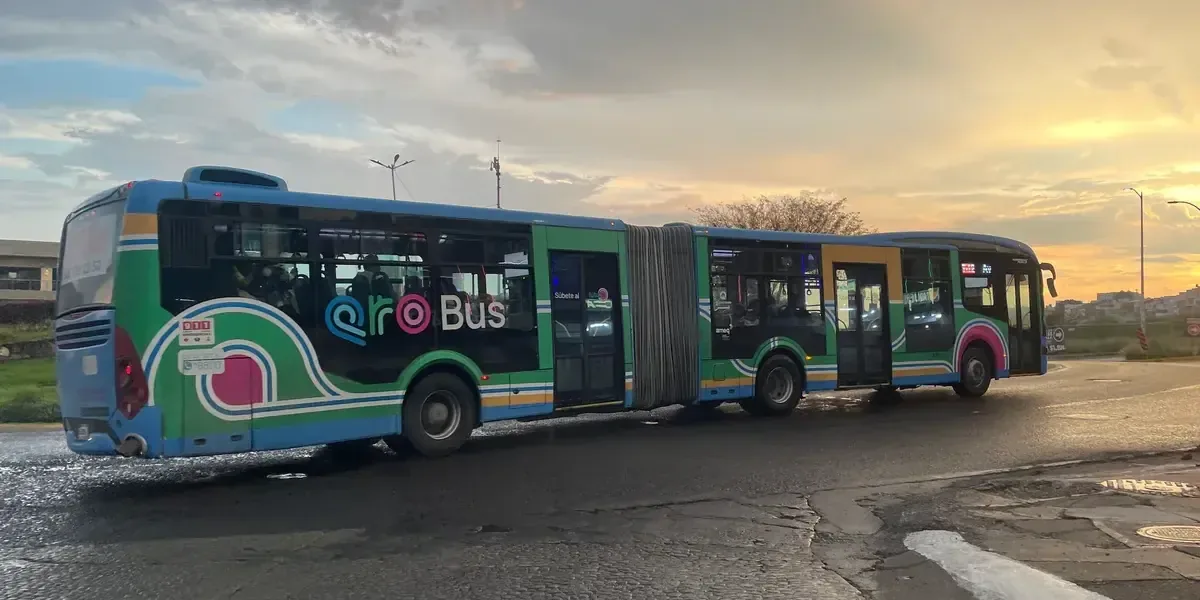La plataforma Qrobús facilita el transporte en Querétaro, mostrando un crecimiento considerable en usuarios y servicios.