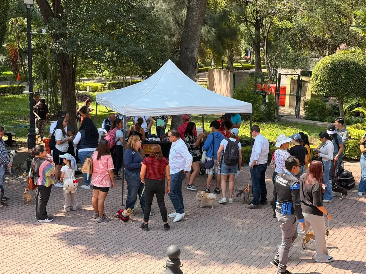 La feria busca fomentar el cuidado responsable de los animales de compañía y promover la adopción.