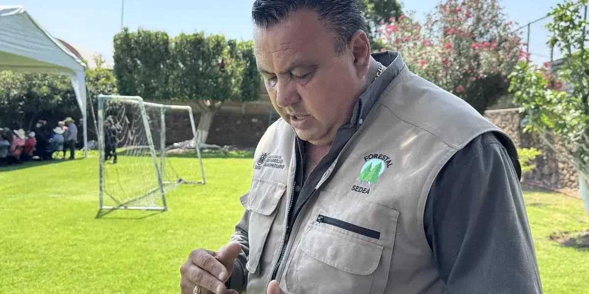 Tras 86 incendios, Querétaro lanza un ambicioso plan de reforestación para restaurar el entorno natural.