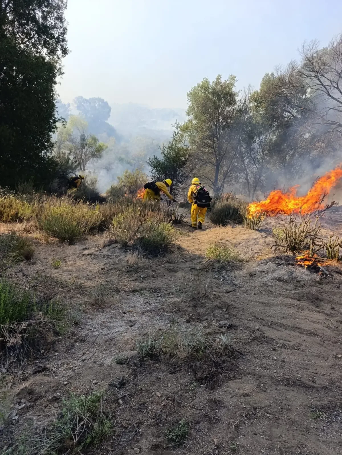 La colaboración de bomberos y voluntarios fue clave para controlar el incendio que duró más de 48 horas.
