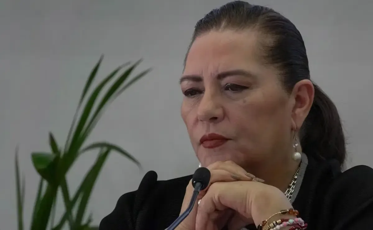 El diputado de Morena cuestiona la permanencia de Guadalupe Taddei como presidenta del INE.