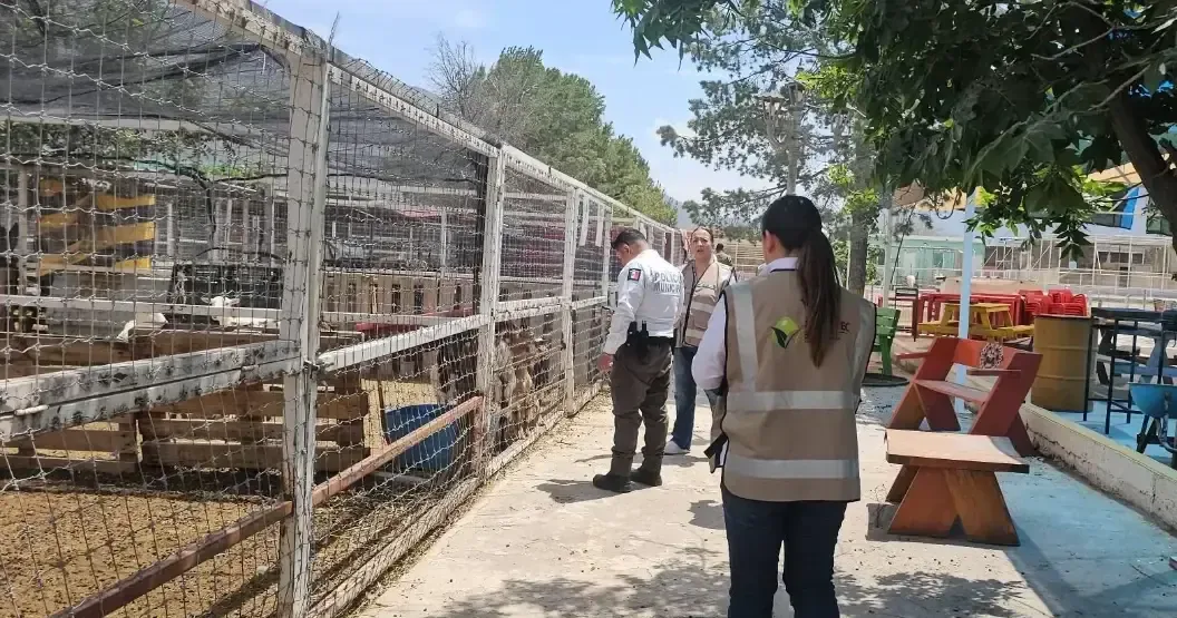 Se agota el plazo para que propietarios respondan a irregularidades tras operativo.