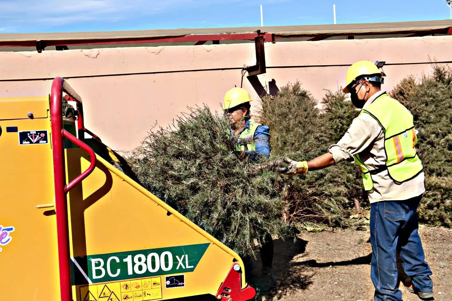 Recepción de árboles navideños en el Eco Parque de La Paz.