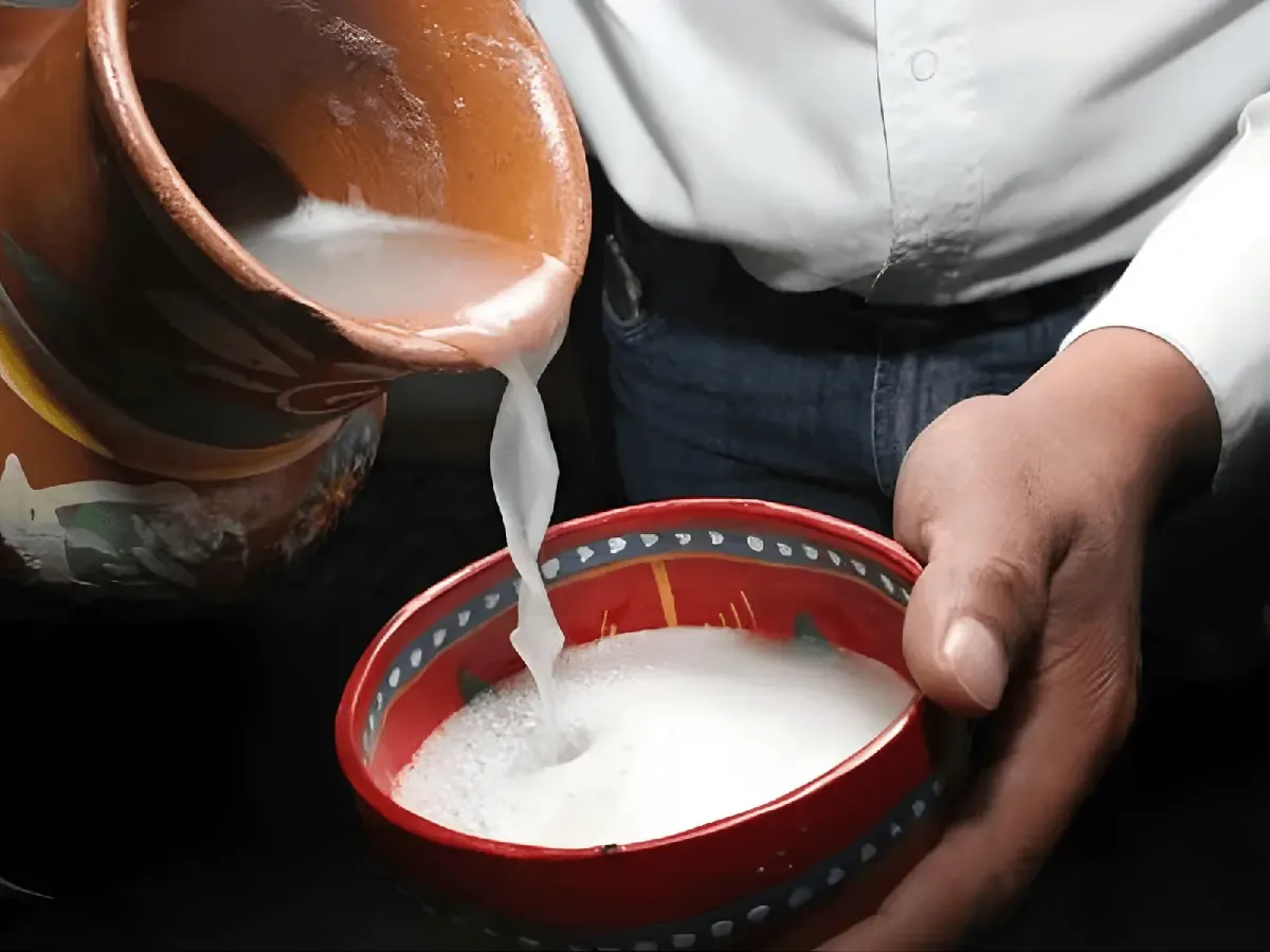 Reconocimiento valioso que destaca la unicidad y tradición del pulque tlaxcalteca.