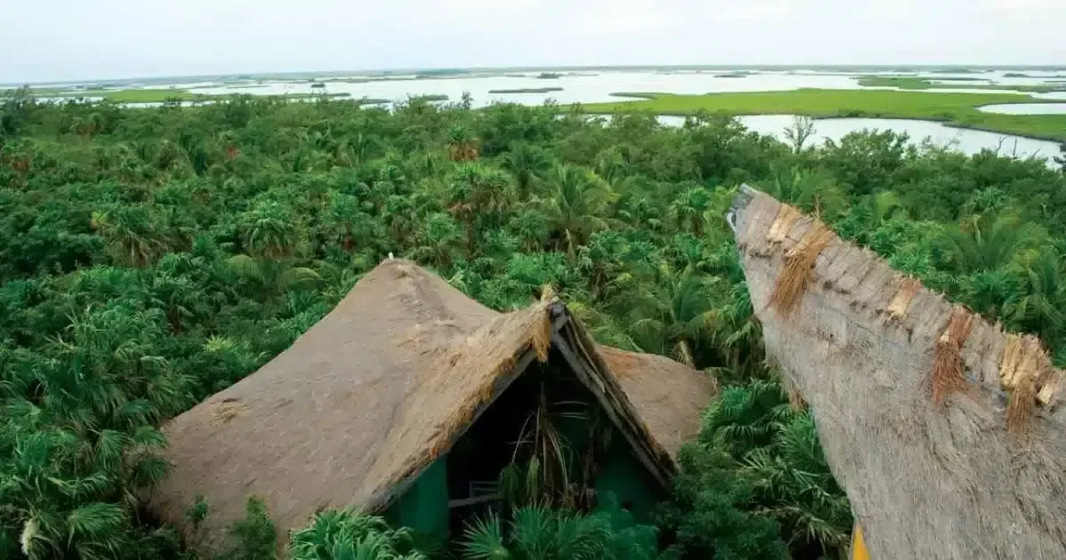 La recuperación de ecosistemas en estas reservas es esencial para la conservación ambiental y la lucha contra el cambio climático.