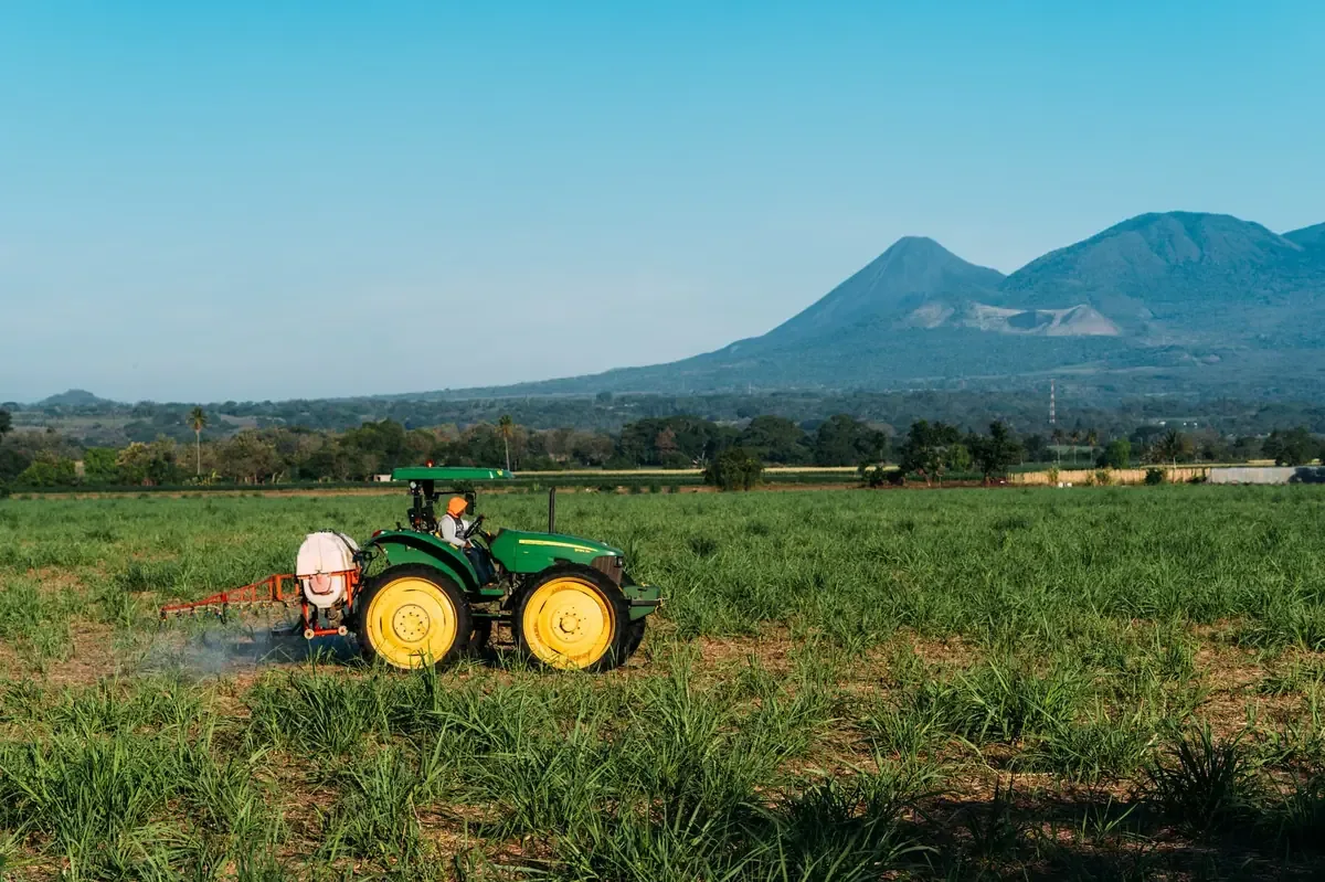 Un diagnóstico adecuado podría optimizar la fertilización y mantener ingresos en el campo mexiquense.