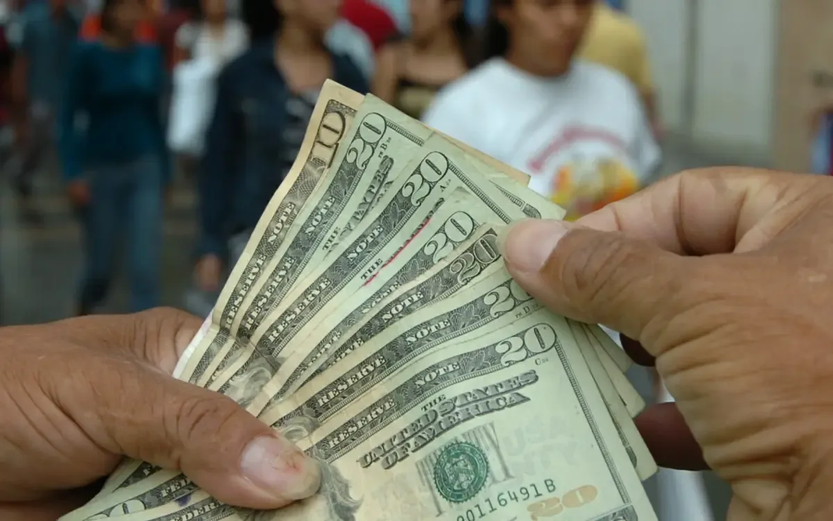La apreciación del tipo de cambio impacta negativamente en el ingreso de las familias.