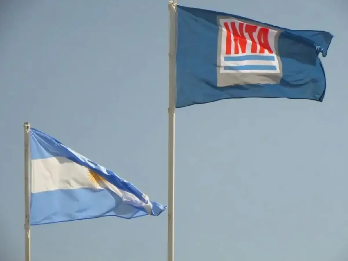 La Argentina enfrenta la necesidad de transformar el INTA para adaptarse a nuevas realidades científicas y tecnológicas.