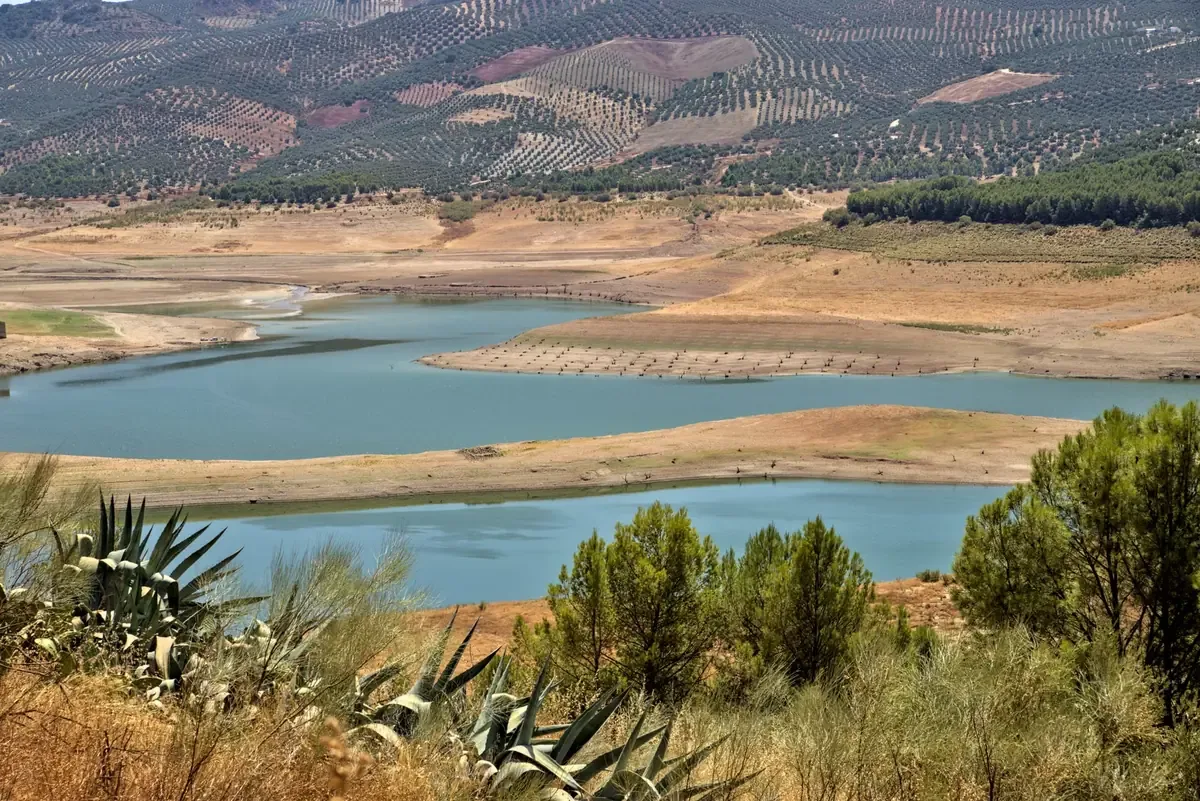 Los nuevos diseños deben atender la disponibilidad de agua y condiciones ambientales para obras viales.