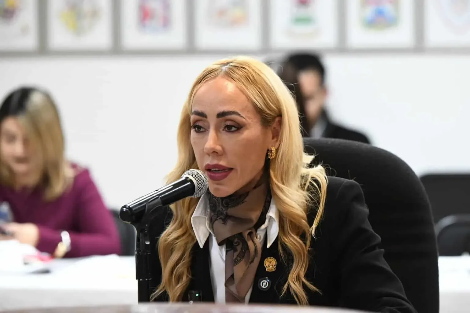 Representación de la diputada Brenda Ríos durante la presentación de su iniciativa.