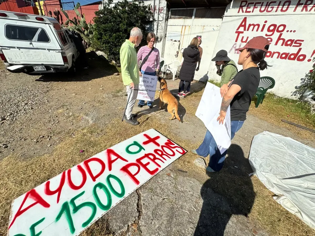 "Representantes del Refugio Franciscano ingresan al predio en Cuajimalpa."