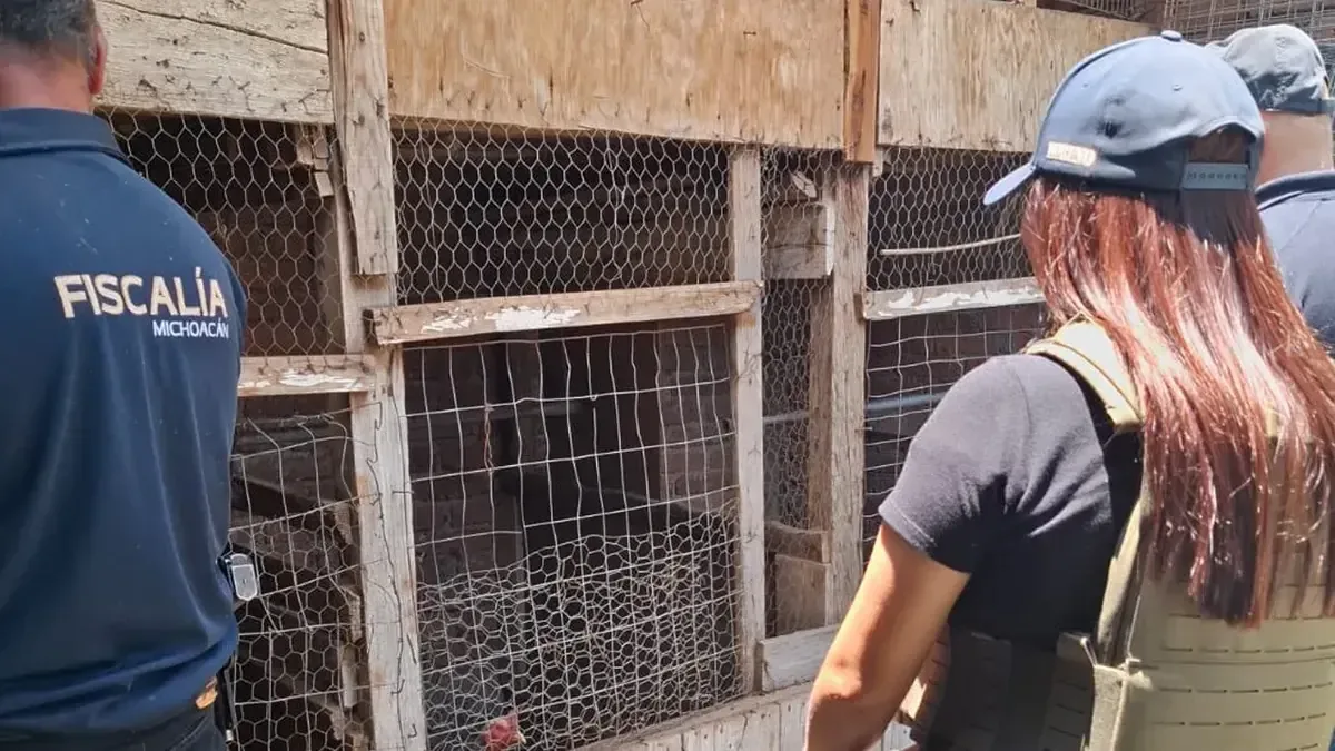 Durante un operativo en Morelia, se rescataron tres mujeres y 19 animales maltratados por las condiciones de vida en un domicilio.