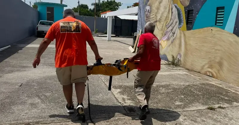 La coordinación entre autoridades y ciudadanos asegura el bienestar de un animal atrapado en una zona peligrosa.