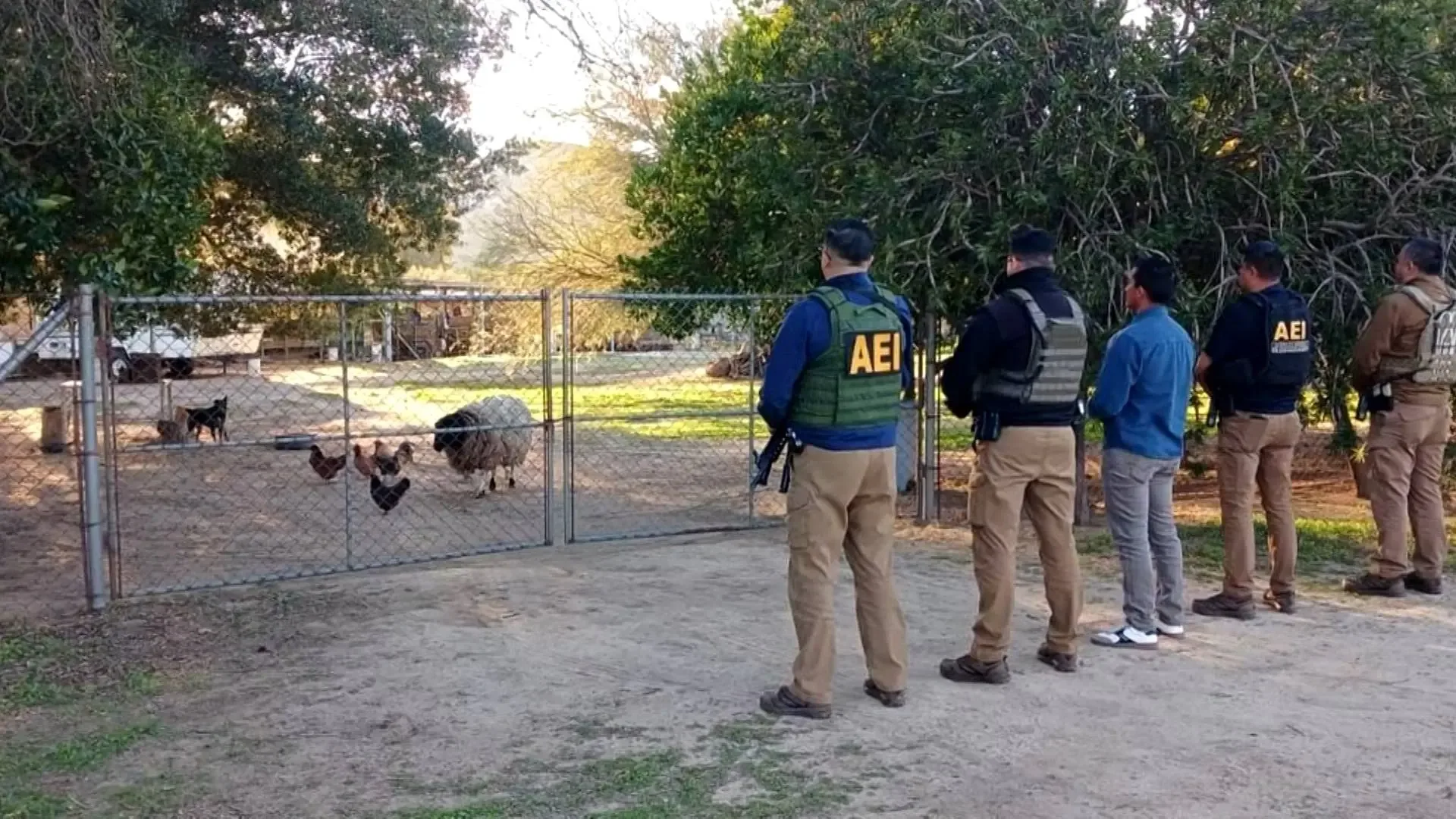Rescate de perra y borrego en la colonia El Testerazo, Tecate.