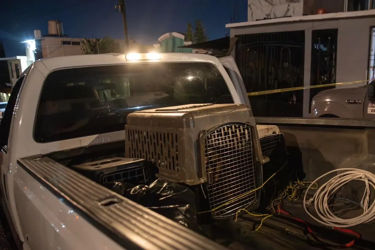 Rescate de perros en Villas del Sol tras denuncia de abandono.