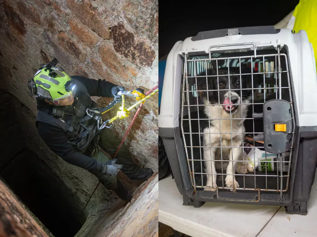 Rescate de un perrito en un pozo por el equipo del IMPA El Marqués.