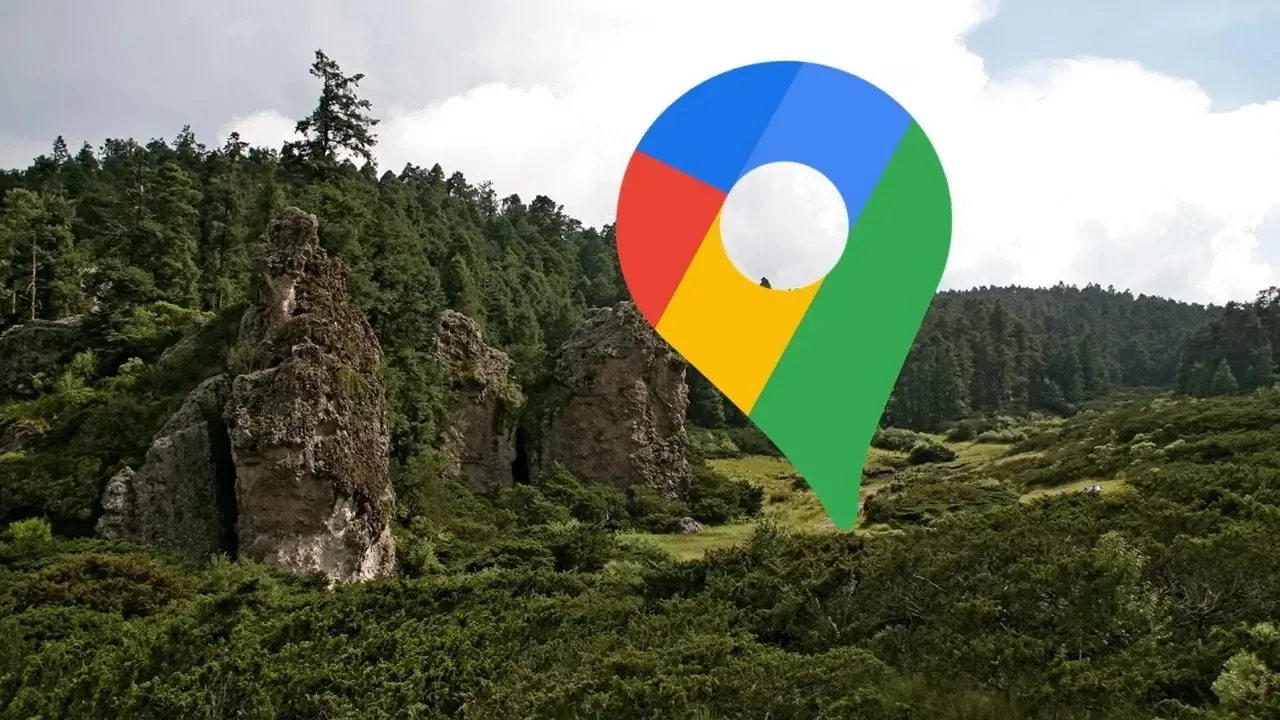Rescate exitoso de turistas extraviados en el bosque de Mineral del Chico.