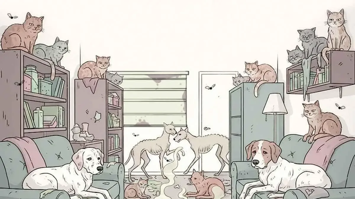 Rescatistas muestran los gatos recuperados en una vivienda de la CDMX.