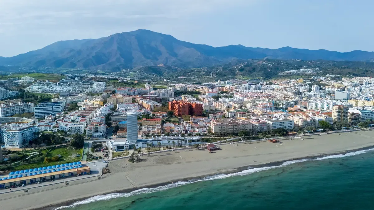 Buscarán que un terreno de selva sea declarado Área Natural Protegida.