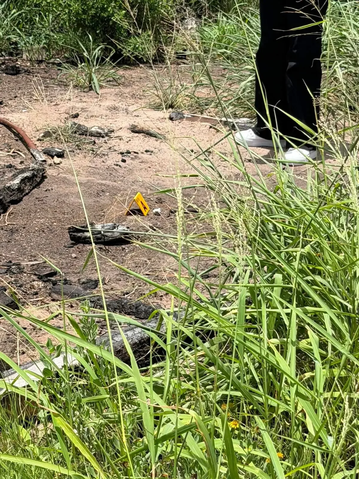 El descubrimiento de restos humanos reitera la gravedad de las desapariciones en Tamaulipas.