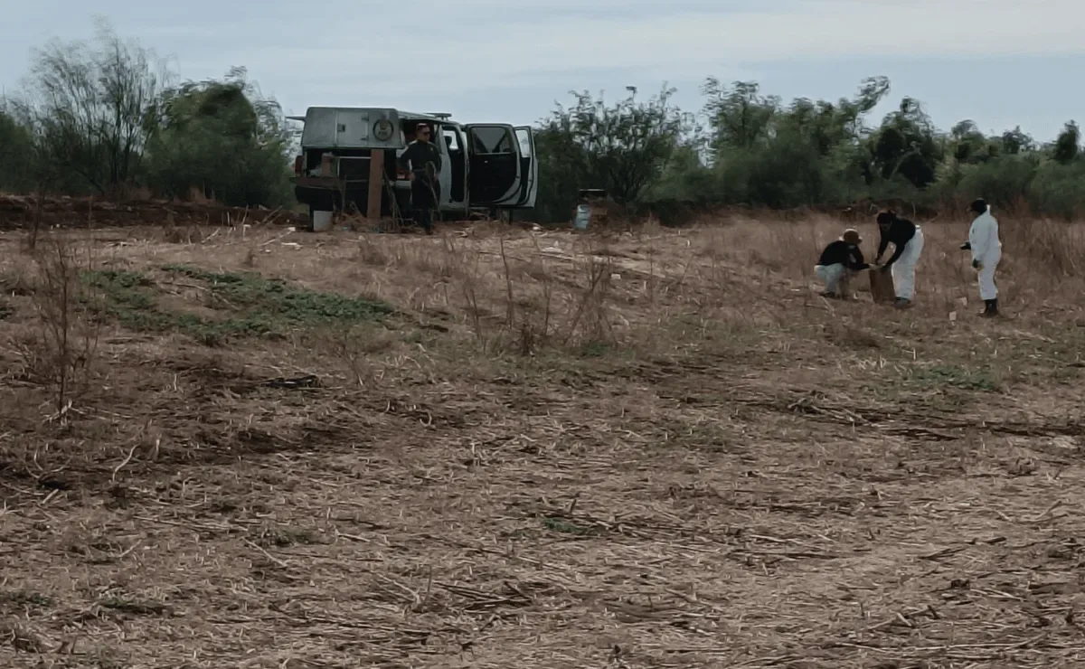 Restos óseos encontrados por colectivos de búsqueda en Ixtlahuacán, Jalisco.