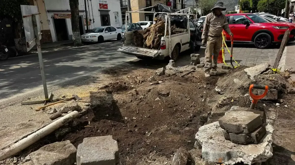 La remoción de troncos busca prevenir accidentes y mejorar la circulación en el área.
