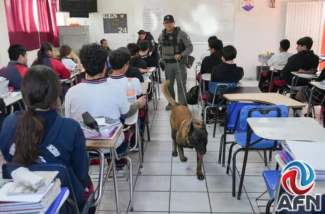 Revisión en secundaria revela la presencia de medicinas y objetos cortantes en las mochilas de estudiantes.