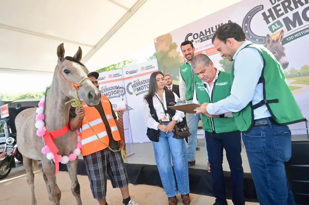 Se busca mejorar las condiciones de vida de carromateros y asegurar el bienestar animal.