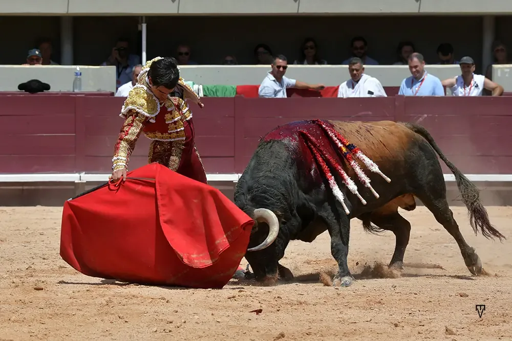 La destacada temporada del ganadero francés incluye un indulto y toros premiados.