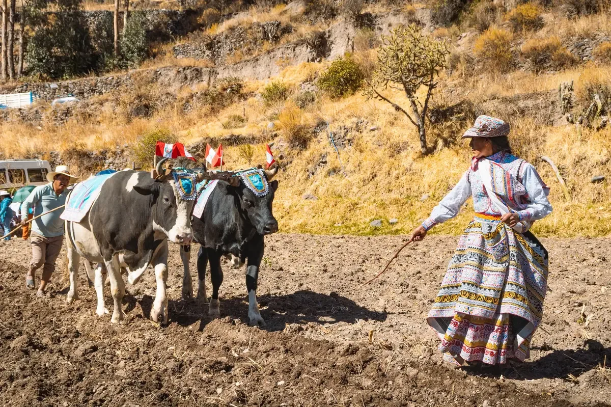 El presidente municipal destaca la importancia de la agricultura y el apoyo a productores en su Quinto Informe de Gobierno.