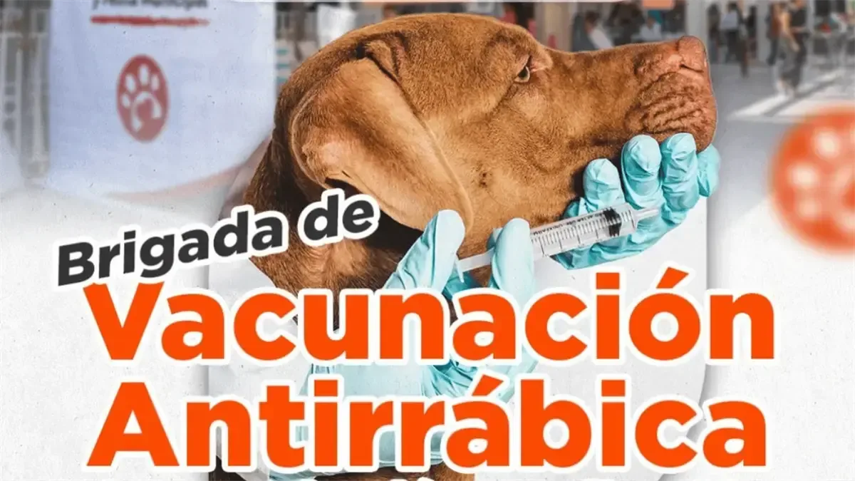 La brigada busca mejorar la salud de mascotas y prevenir enfermedades transmisibles.