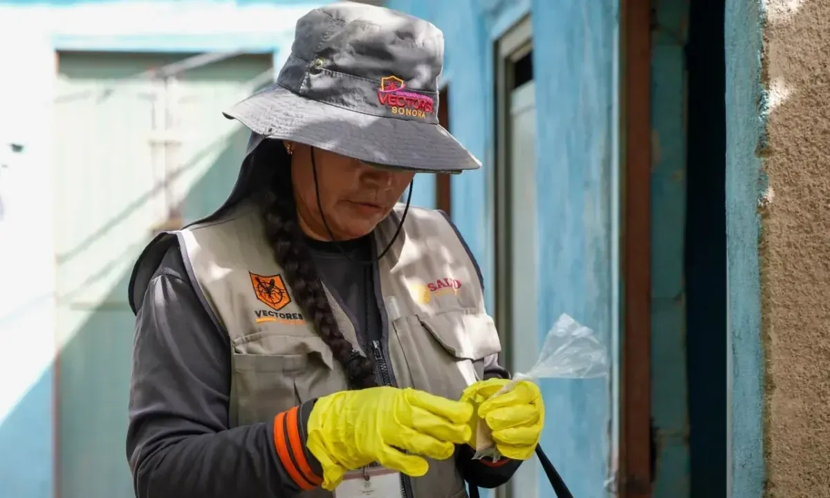 La Secretaría de Salud intensifica acciones para controlar el dengue tras las lluvias recientes en Sonora.