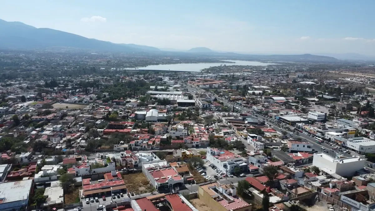 La reforestación en San Juan del Río es clave para mejorar la captación de agua.