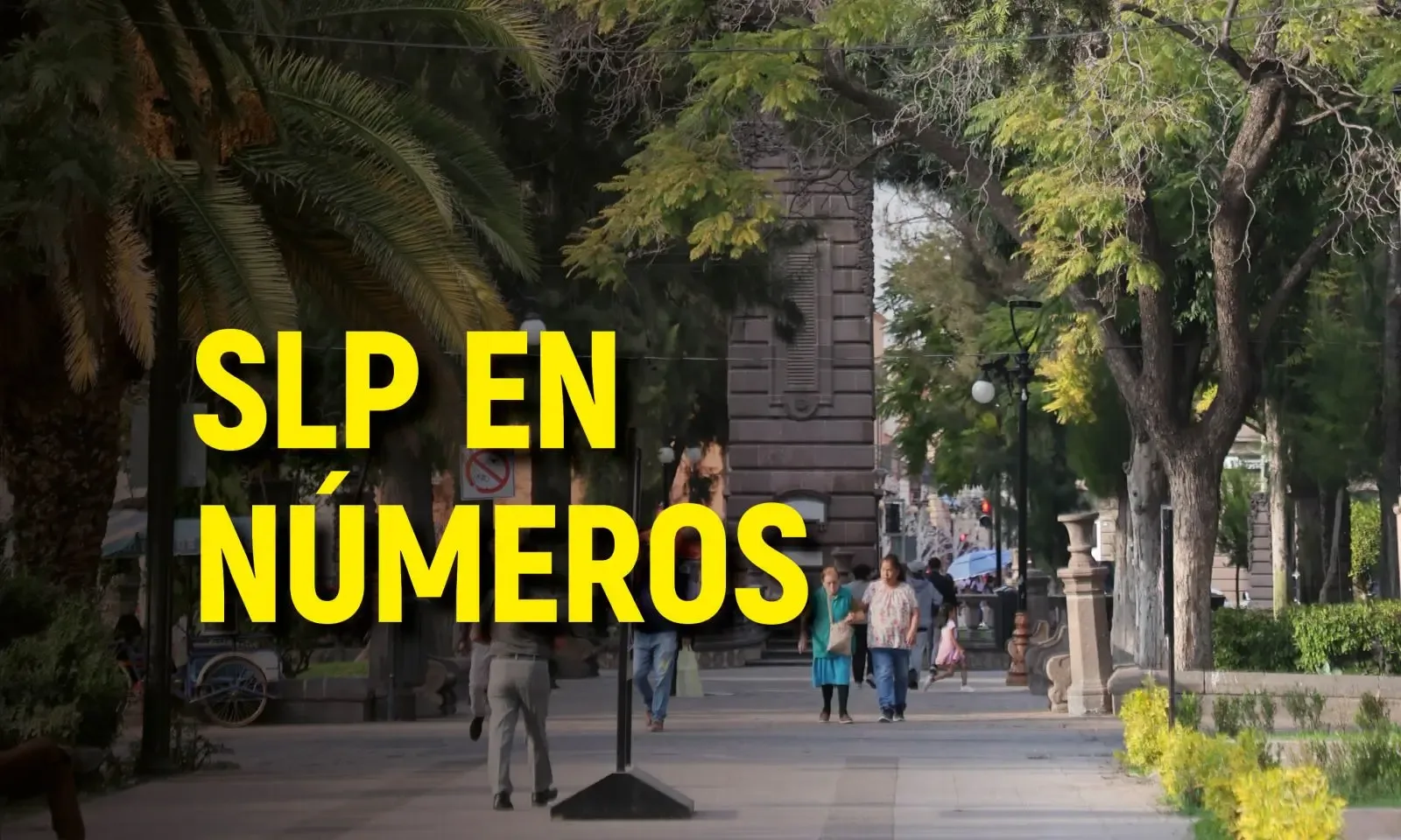 San Luis Potosí enfrenta importantes desafíos demográficos y socioeconómicos en 2024.