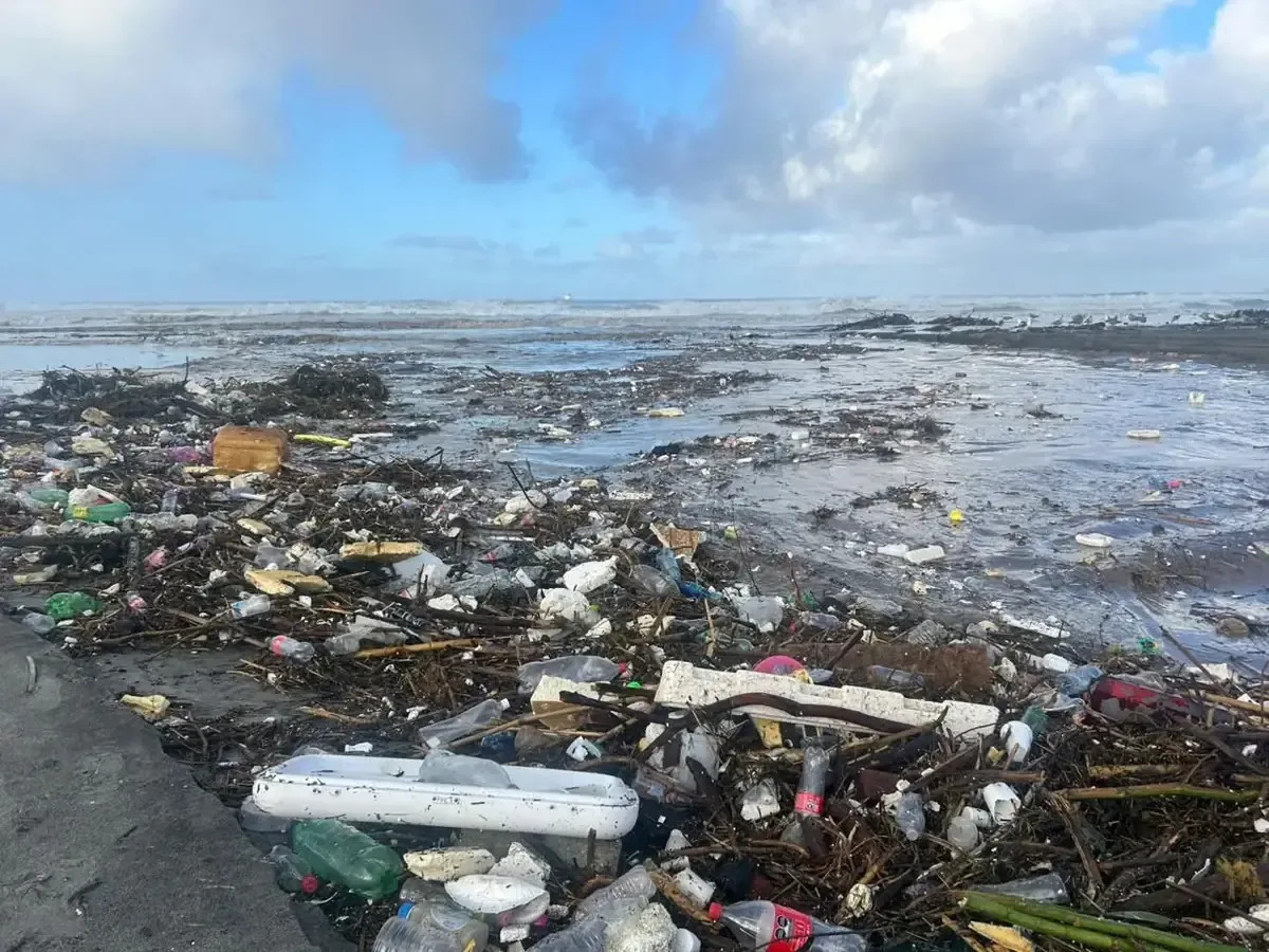 Se activó un protocolo de limpieza para proteger el medio ambiente tras las lluvias en áreas clave del municipio.