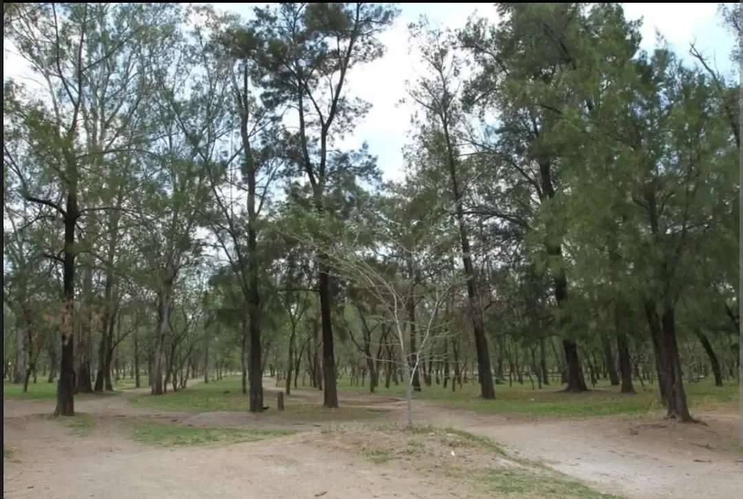 Se aprueba la creación de un Área Natural Protegida para conservar el ecosistema local.