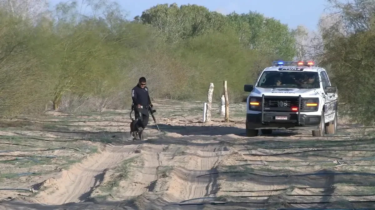 Se confirma la existencia de víctimas en escenarios de crimen organizado en Baja California, generando inquietud en la población.