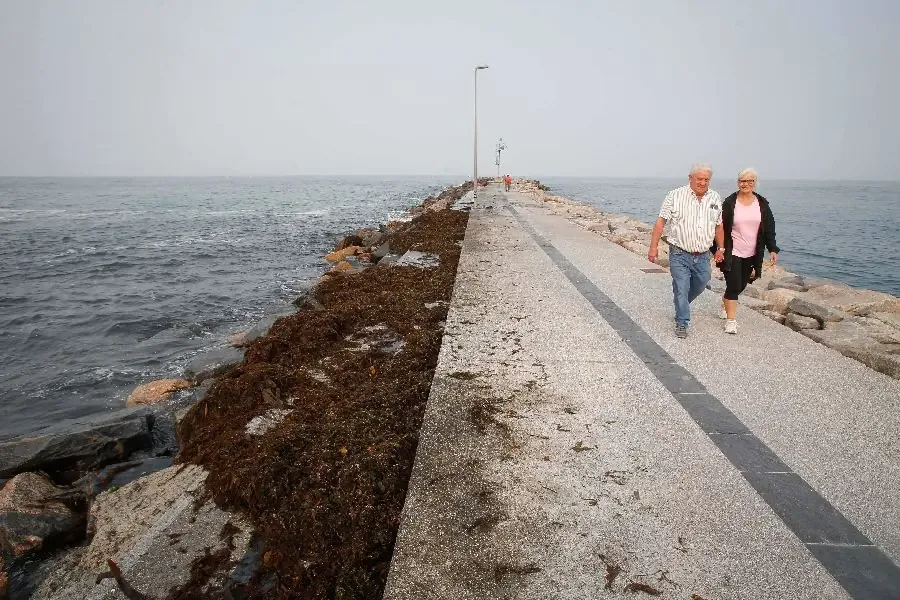 Se espera un incremento en las temperaturas y rachas de viento superiores a 70 km/h en Galicia y la Cordillera Cantábrica.