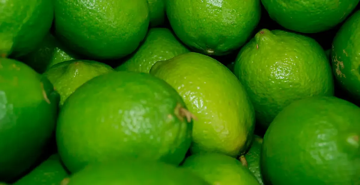 Se implementan alternativas que promueven el control biológico sin afectar cultivos ni enemigos naturales.