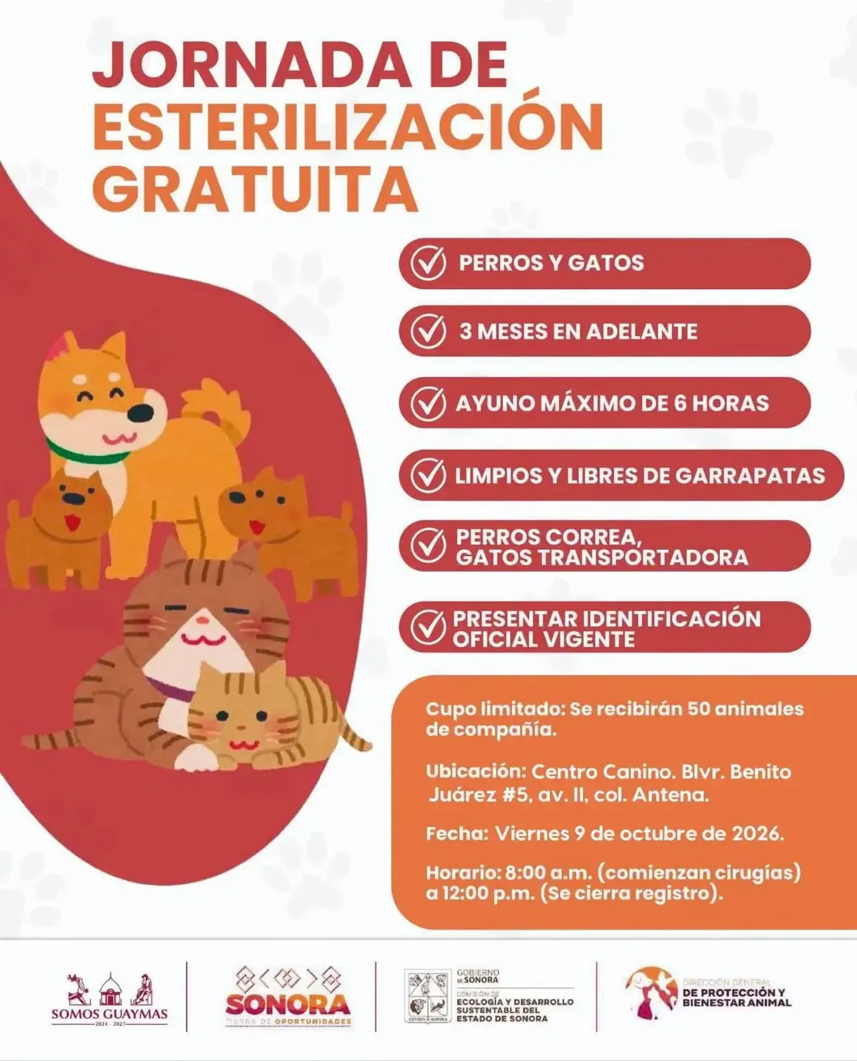 La campaña busca fomentar la tenencia responsable de mascotas y reducir la población en abandono.