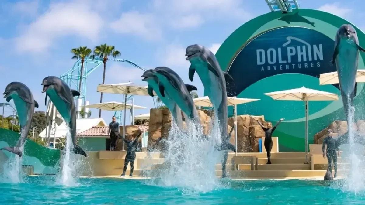 SeaWorld San Diego es uno de los parques más cercanos para los residentes de Baja California, combinando diversión y aprendizaje.