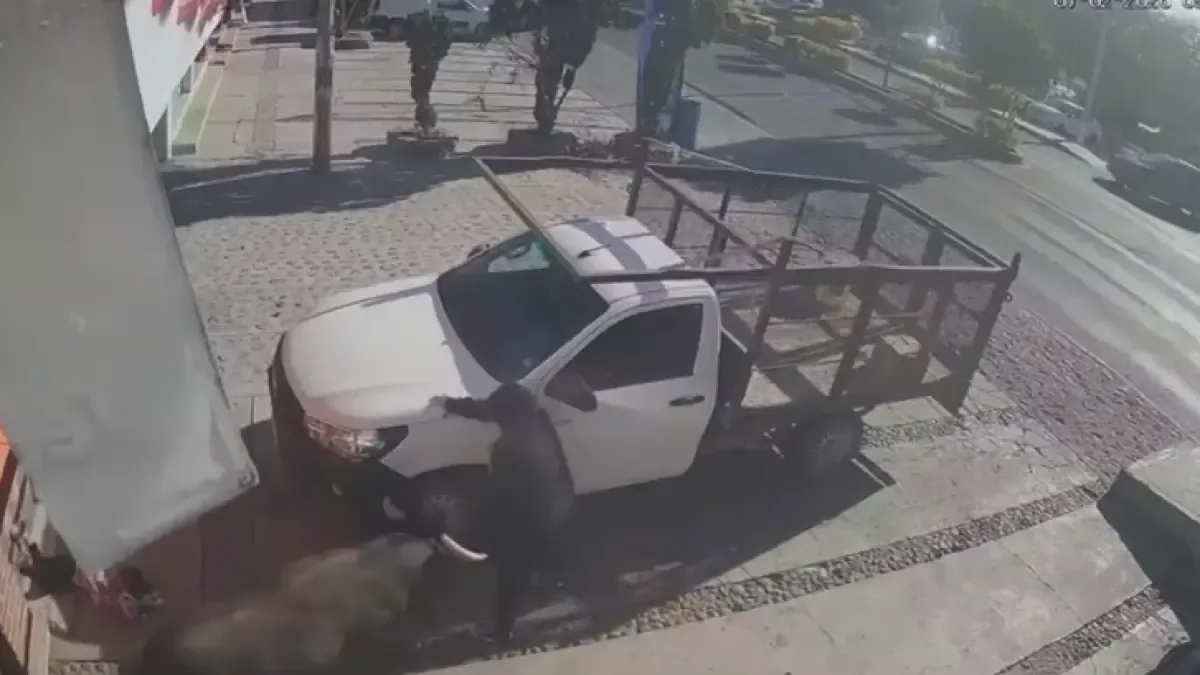 Seis personas, incluida una niña, resultaron lesionadas por un toro suelto en Pedro Escobedo, generando alarma en la comunidad.