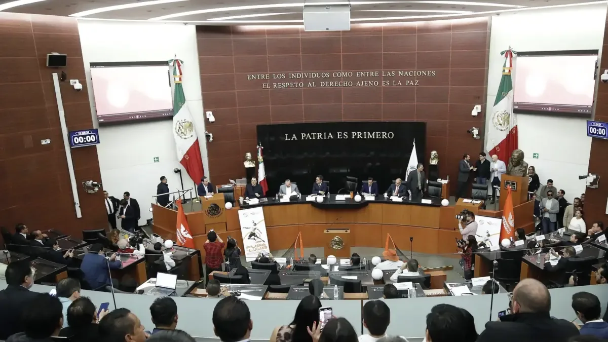La reforma busca restablecer el mérito deportivo en el fútbol nacional y atender un interés público.