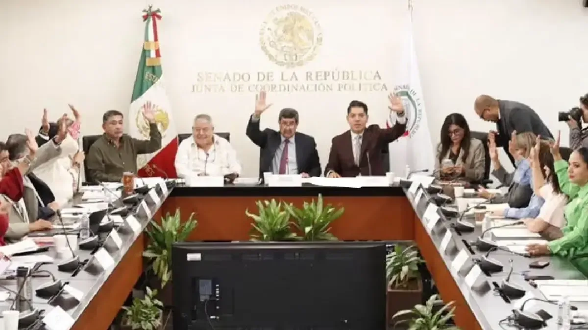 La reforma aprobada protege la sátira y la parodia en redes sociales tras amplia presión pública.