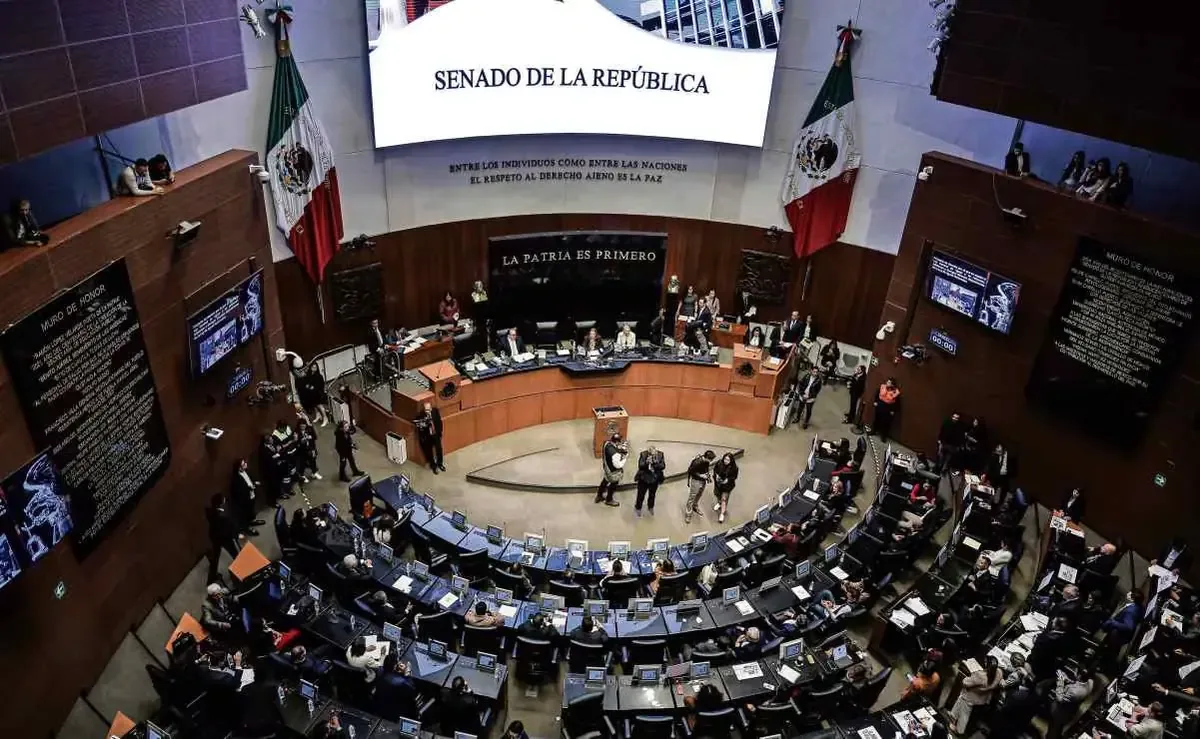 La propuesta busca establecer la nacionalidad única para quienes aspiren a puestos gubernamentales clave.