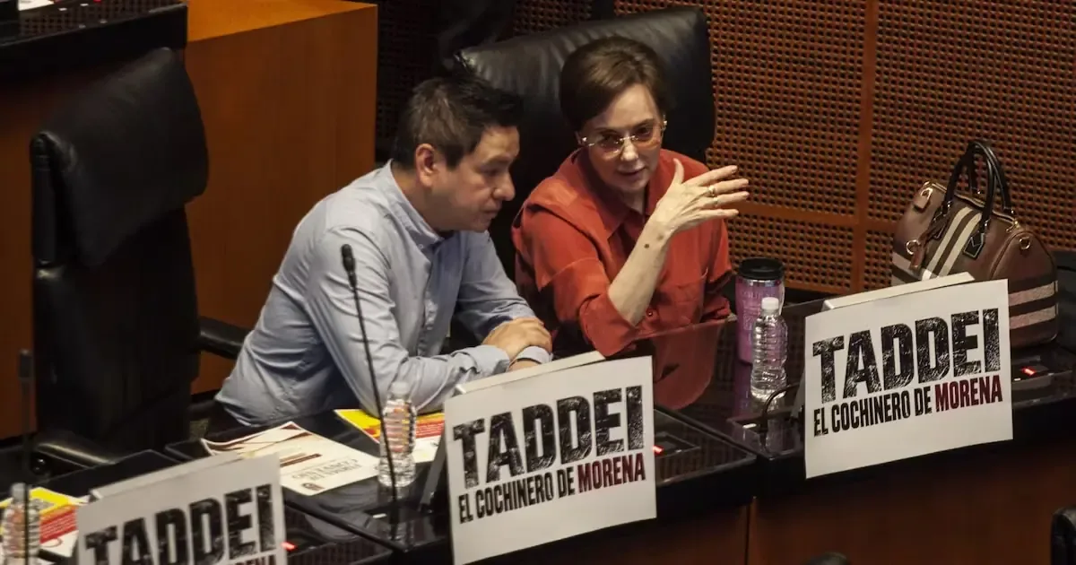 La oposición destaca el vínculo de Taddei con Morena y exigen claridad tras su renuncia al INE.