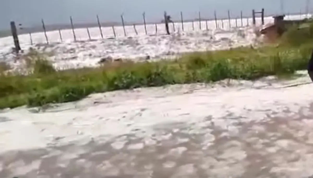 La tormenta generó daños significativos en cultivos rurales en Balcarce, Buenos Aires.