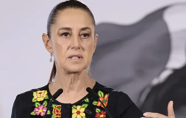 La presidenta sugiere evaluar pros y contras antes de penalizar la IA.